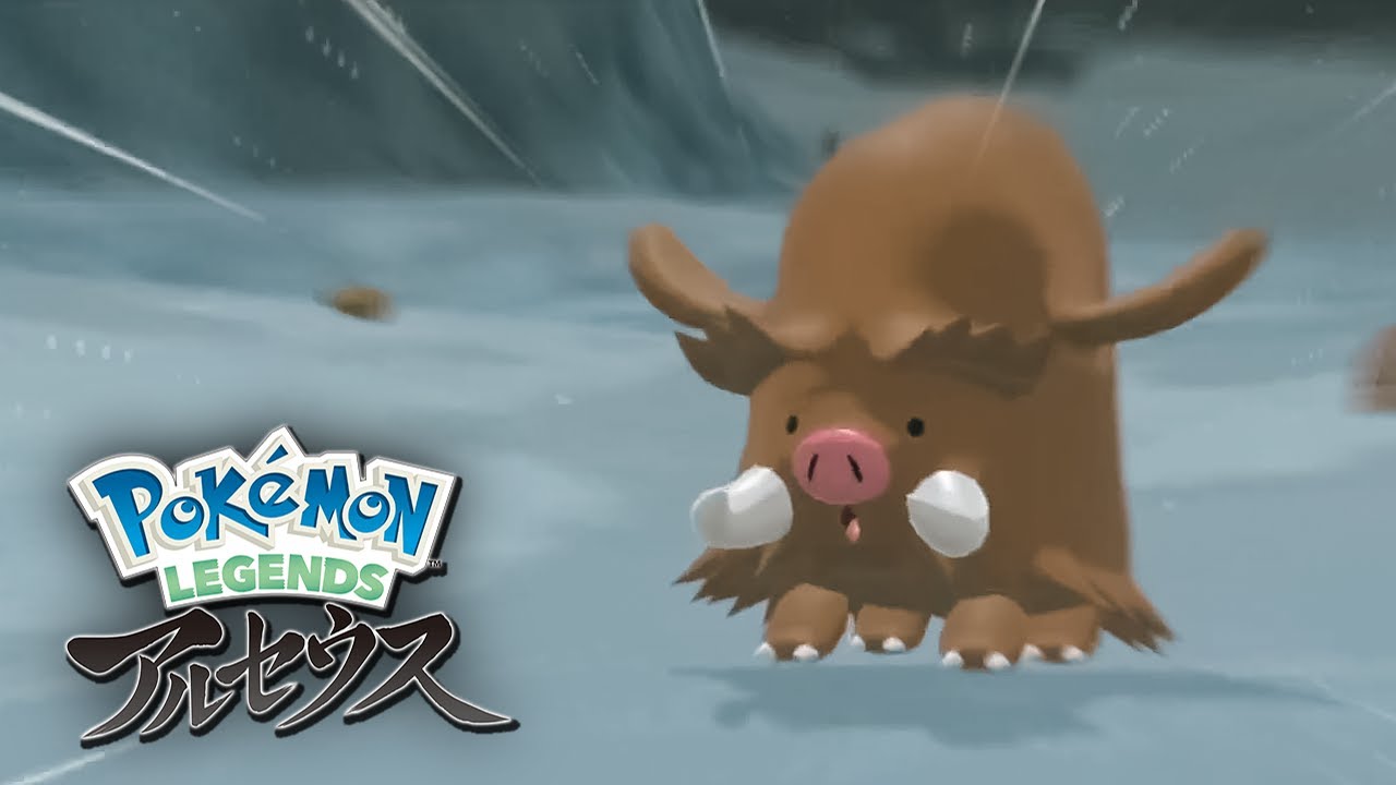 おはヨクバリス　ポケモンLEGENDS アルセウス　23日目