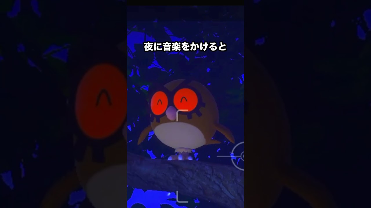 ホーホーのナイトパーティー #ポケモン #newポケモンスナップ