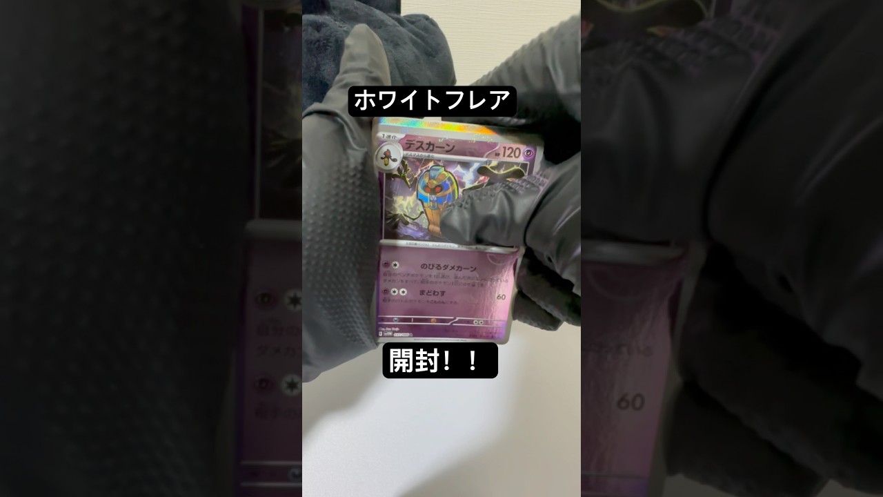 レシラムくるか？！#ポケモンカード #ポケカ再販最新情報 #ポケカ #ポケモン #ポケカ開封 #ホワイトフレア #ブラックボルト