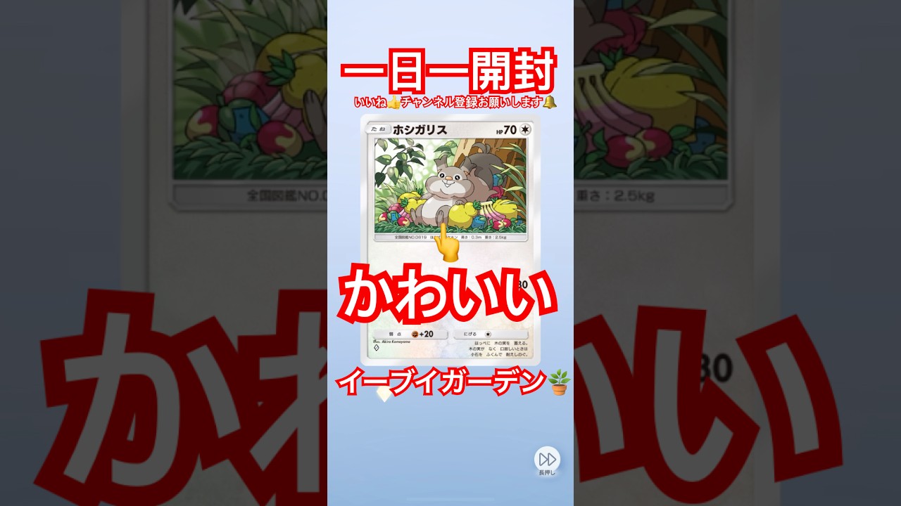 【#イーブイガーデン】 ホシガリス憎めない可愛さ #pokemon  #pokemoncards  #pokemontcg  #ポケポケ　#ポケポケ開封チャレンジ #ポケモンカード
