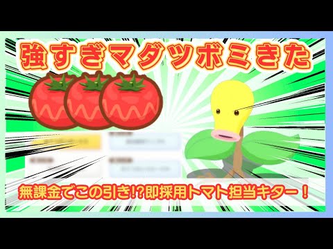 【無課金】今更マダツボミ神引きしたので見て欲しい＠2周年記念フェスティバル2025【ポケモンスリープ】社畜OLの無課金ゲーム実況攻略記202507