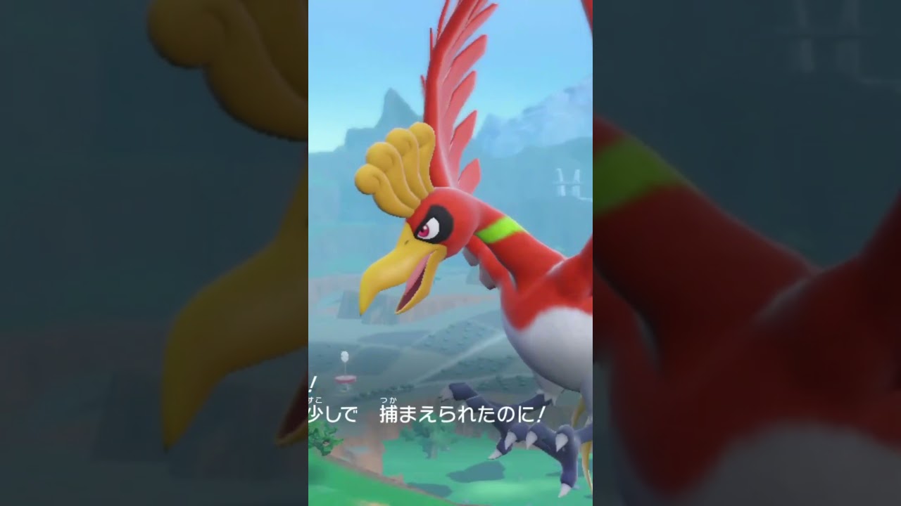 ホウオウ#ポケットモンスタースカーレッド #pokemon #pokémon #ポケモン