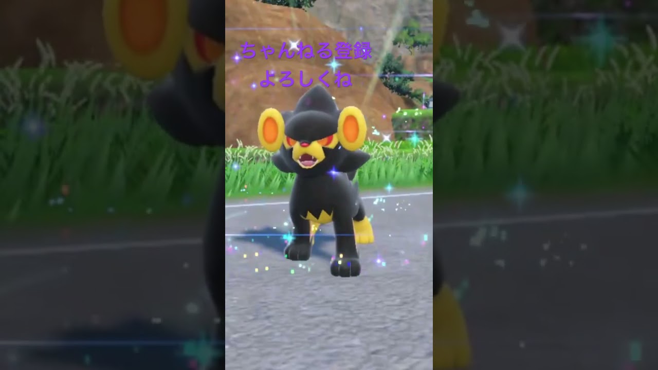 色違いルクシオ進化 #ポケモン #ポケモンsv #色違いポケモン