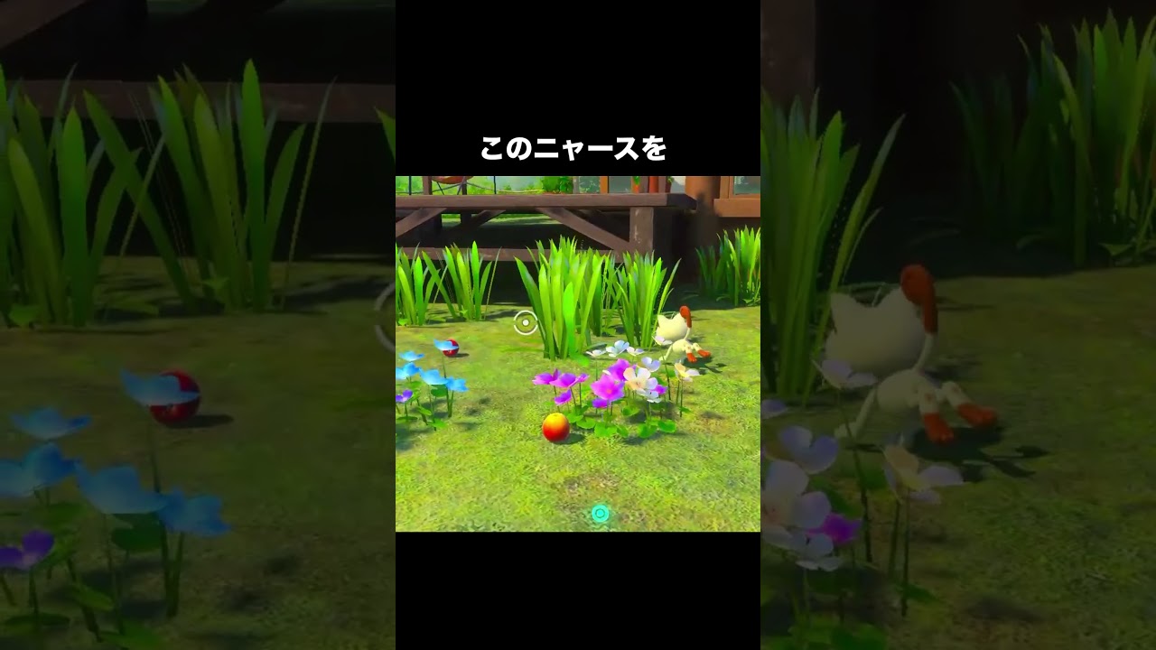 ニャースvsコラッタ　ネコ対ネズミ　#ポケモン #newポケモンスナップ