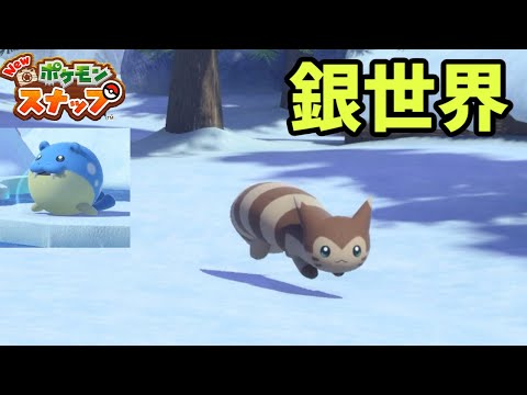 極寒のエリアでオオタチの躍動感がすごい！in夏【Newポケモンスナップ】♯15