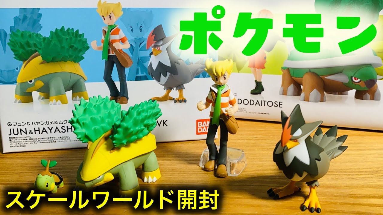 【新発売】ポケモンスケールワールド　ジュン&ハヤシガメ&ムクホーク　3人で最速開封！！/Pokemon scale world Sinnoh Region  Grotle StaraptorBarry