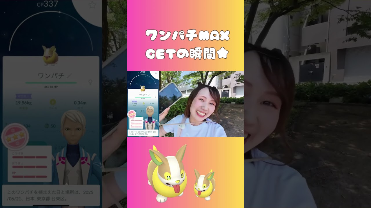 個体値100のワンパチをGETして舞い踊る瞬間 #ポケモンGO #ポケモン #ポケ活 #sushiwasabi #pokemongo #pokemon #shorts #shortsvideo