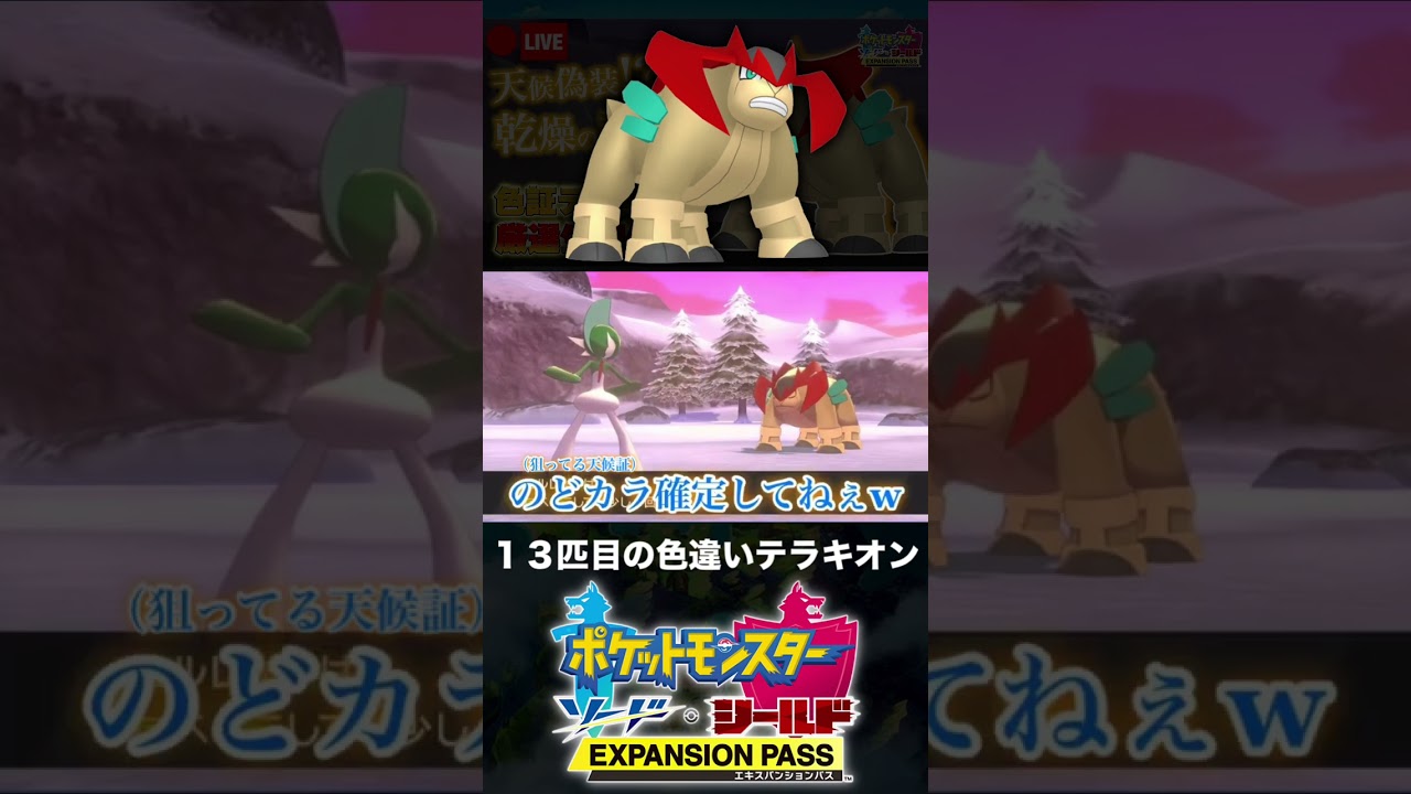 13匹目の色違いテラキオンと邂逅した男【ポケモン剣盾】
