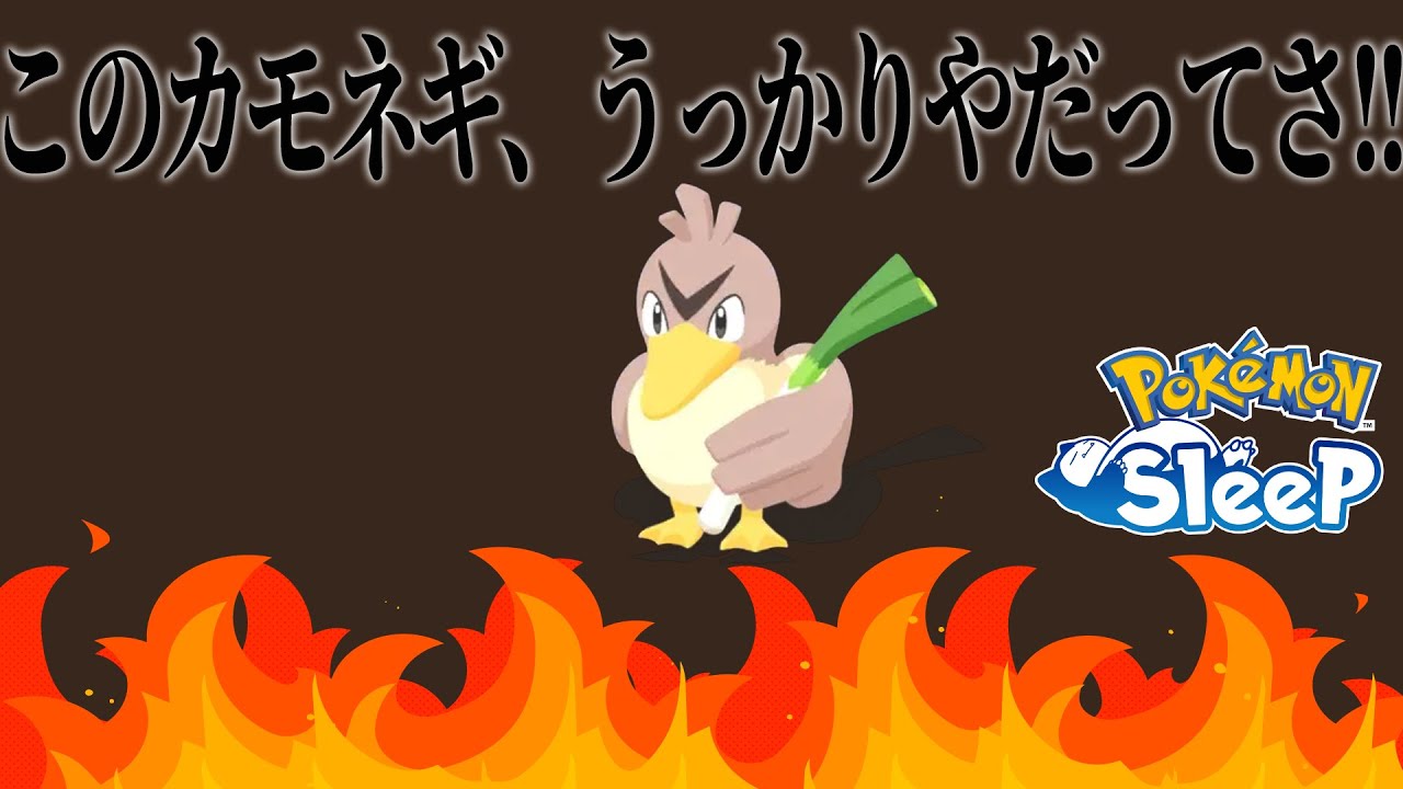【NMD最高】みんな欲しがってるうっかりや食材確率のカモネギ出たよ!!!!【ポケモンスリープ】