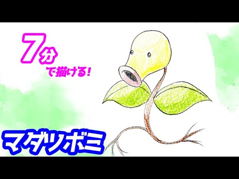 マダツボミの簡単イラストの描き方！ゆっくり解説【ポケモン】図鑑No.0069