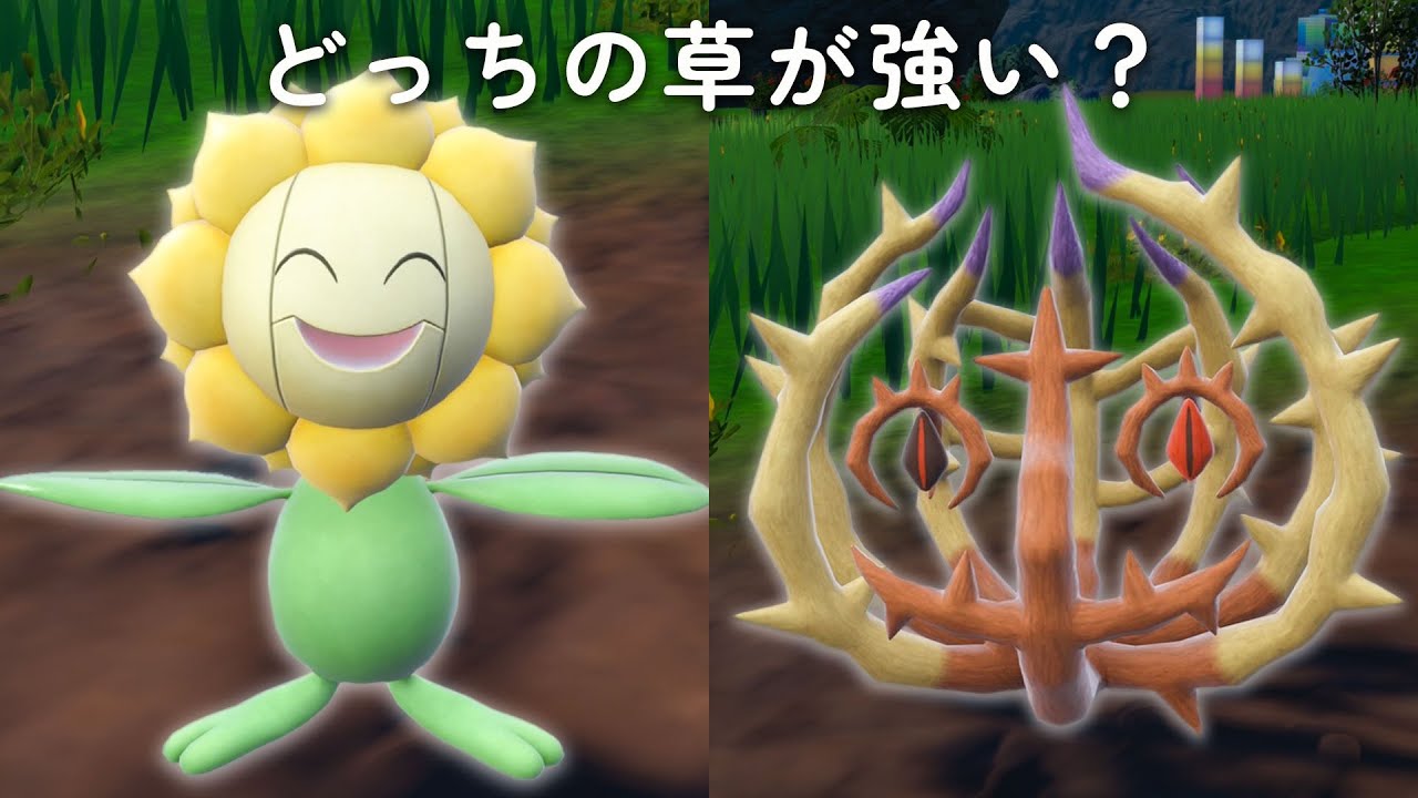 ランクマでまさかの『キマワリvsアノホラグサ』!? どっちの草が強いか決めようや【ポケモンSV】