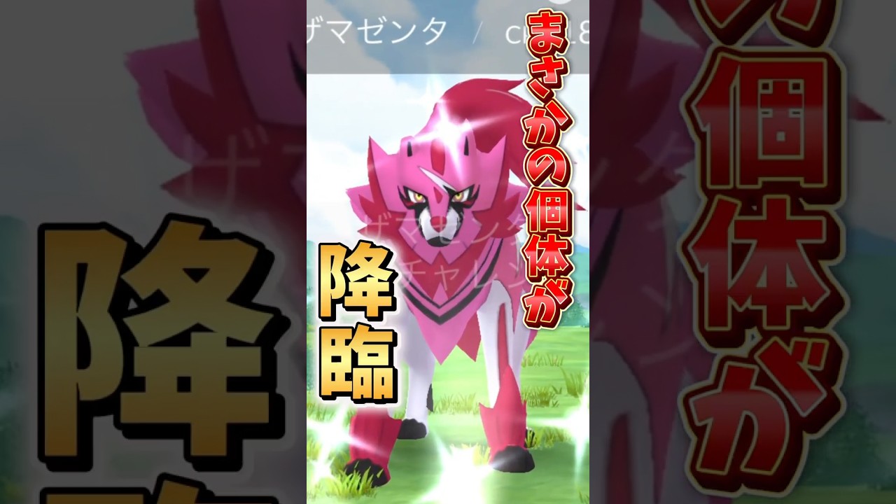 【悲報】ザマゼンタさんでやらかす...。色違い背景をGOFest2025で狙った結果【ポケモンGO】#ポケモンGO #島名なまし　#GOFest2025グローバル