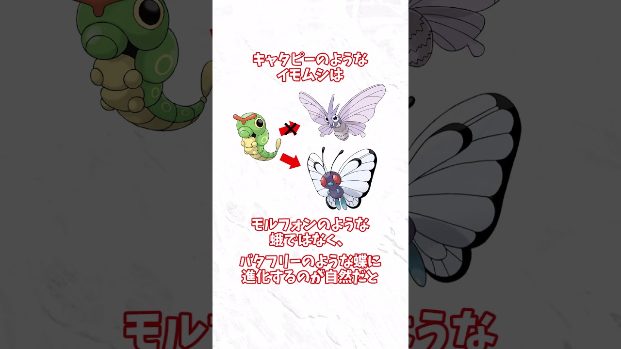 [都市伝説]バタフリーとモルフォンの意外な関係 #ポケモン #ポケモンプチ解説 #ポケポケ
