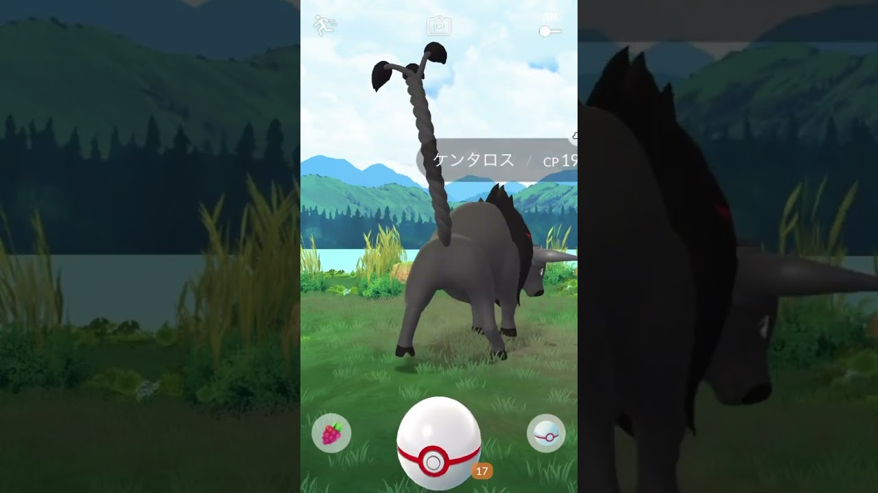 【ポケモンGO】ケンタロスにエクセレントカーブスロー #pokemongo #pokemon #ポケモン #ポケモンgo #ケンタロス #shorts