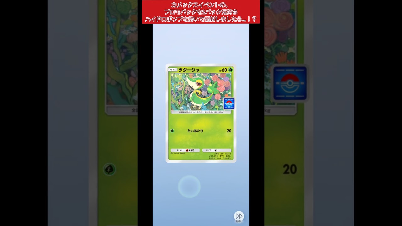 【ポケポケ】カメックスイベントのプロモパックを、2パック気持ちハイドロポンプな勢いで開封しましたら…！？