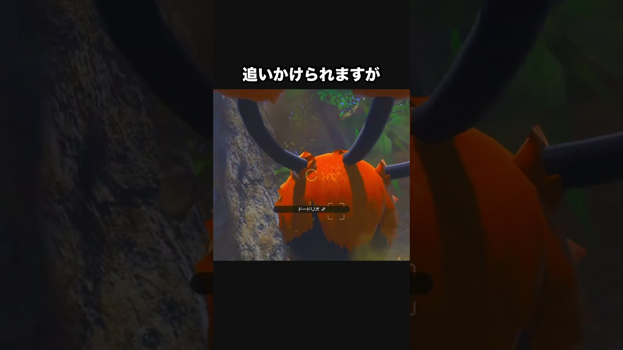 ピチューを守るドダイトス #ポケモン #newポケモンスナップ