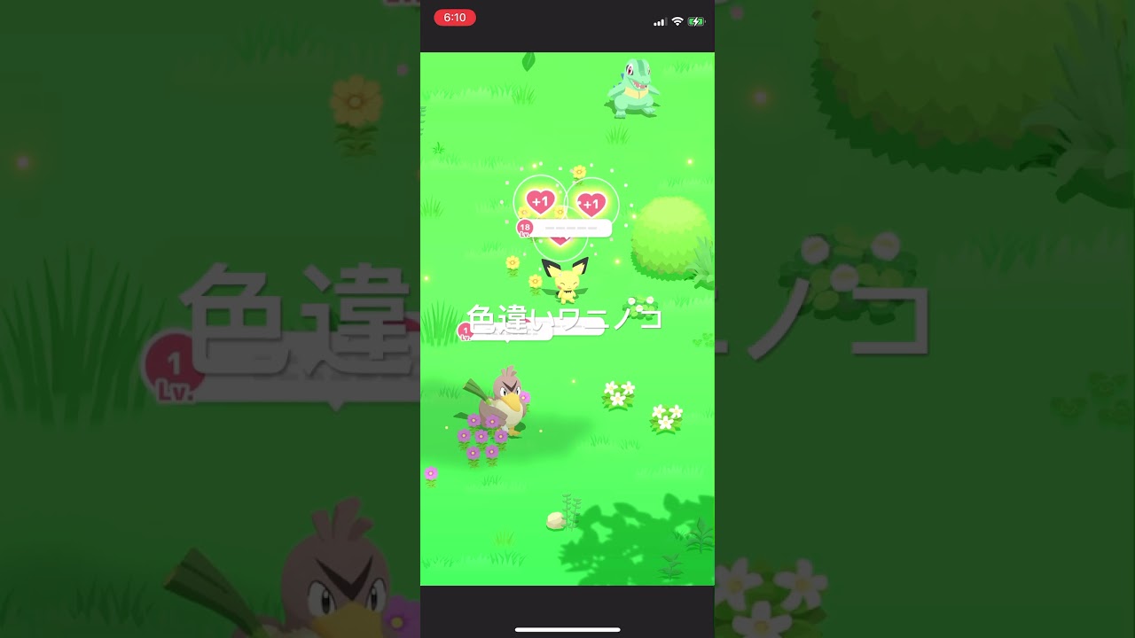 ポケモンスリープ　色違いワニノコ出現！ #ポケモン