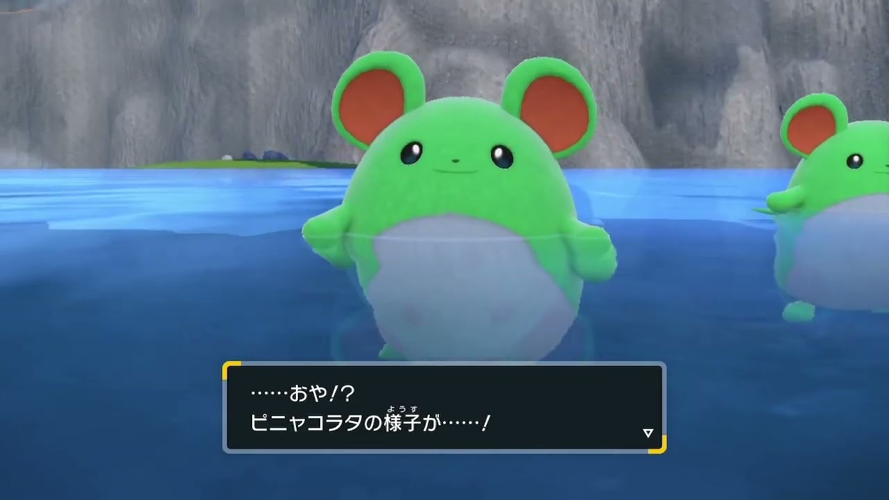 【ポケモンSV】おや！？マリルのようすが……！(バグ)