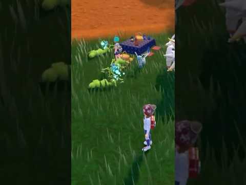 オドシシの楽園。 #ポケモン #ポケモンsv  #色違い