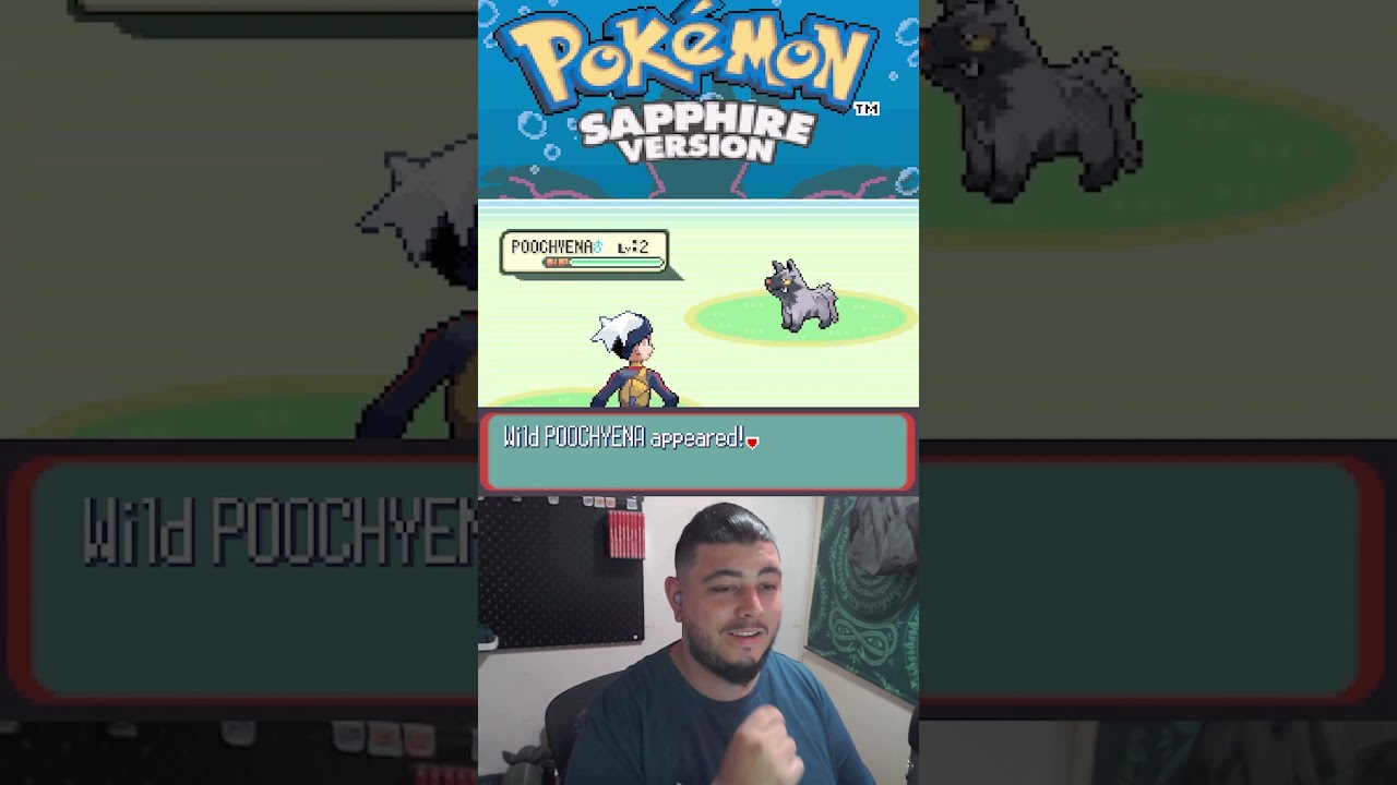 Shiny Hunting Treecko Day 2 #pokemon #pokemonsapphire #shiny