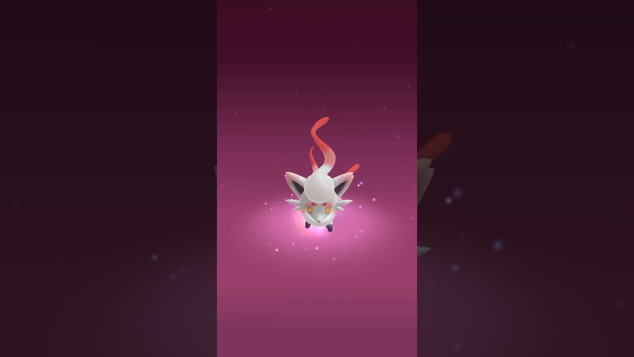 【 ポケモンGO 】今イベントでGETできる ゾロア（ヒスイのすがた）がめっちゃかわいいので見てほしい！【 うさぴよの巣 】#pokemongo