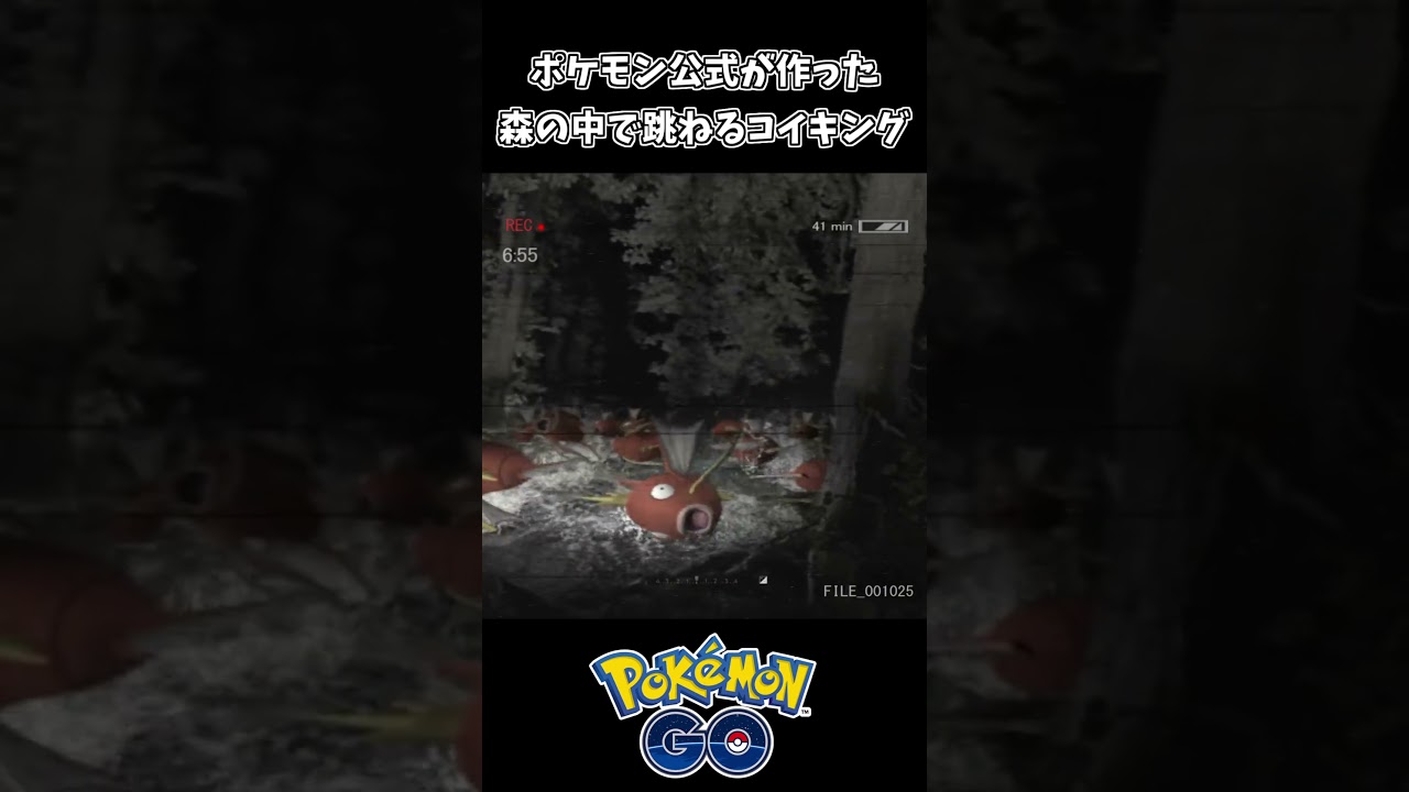 ポケモン公式が作った 森で跳ねるコイキングが怖すぎるｗｗ【ポケットモンスター】