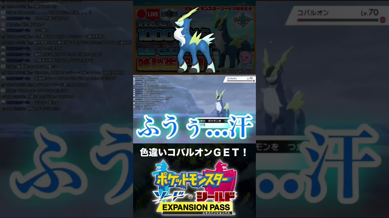 色違いコバルオンと邂逅した男【ポケモン剣盾】