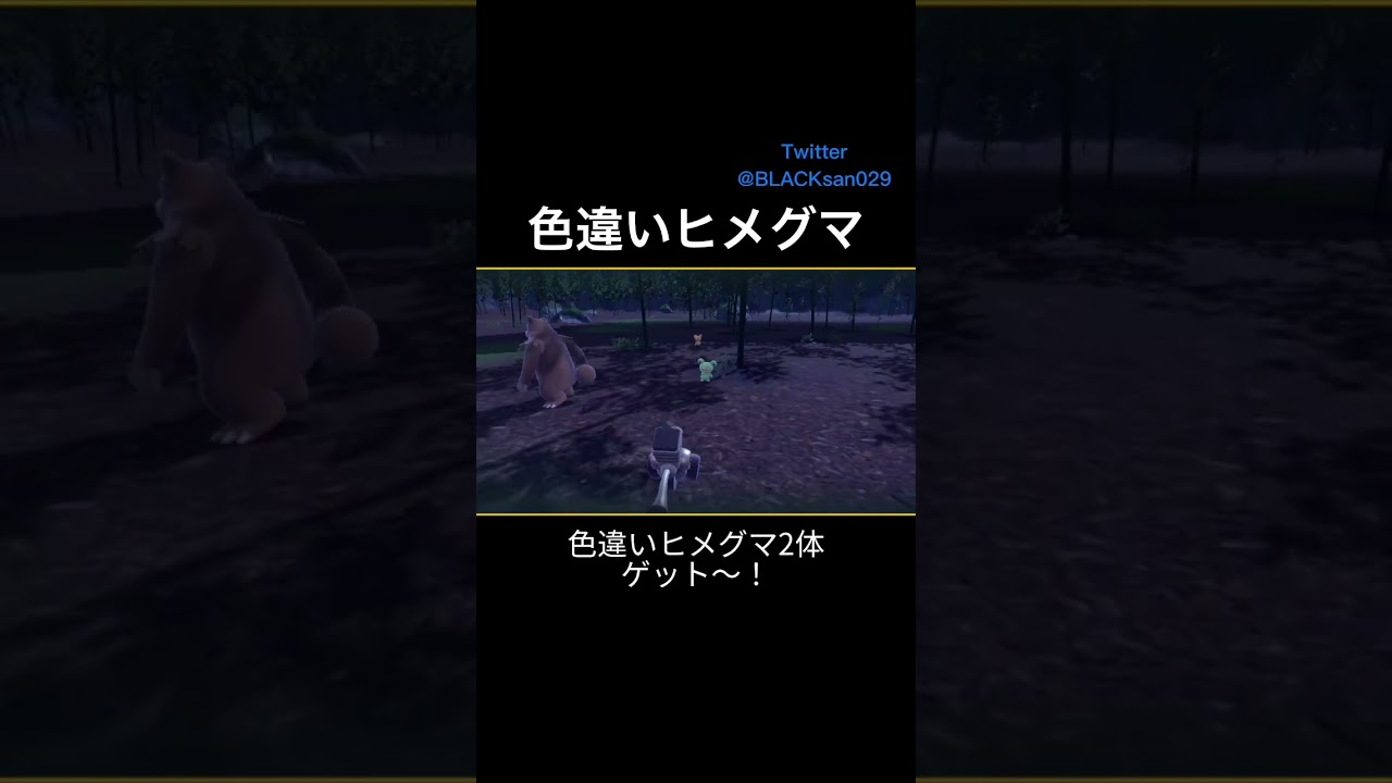 【ポケモンSV】色違いヒメグマ、リングマを求めて #ポケモンsv #色違い #ポケットモンスター #色違い厳選 #shorts