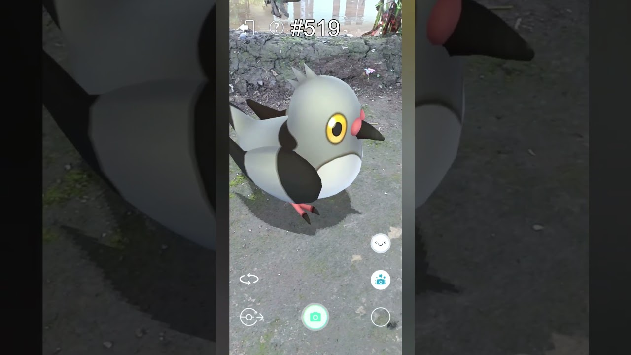 Pidove Card #135 #pokemon