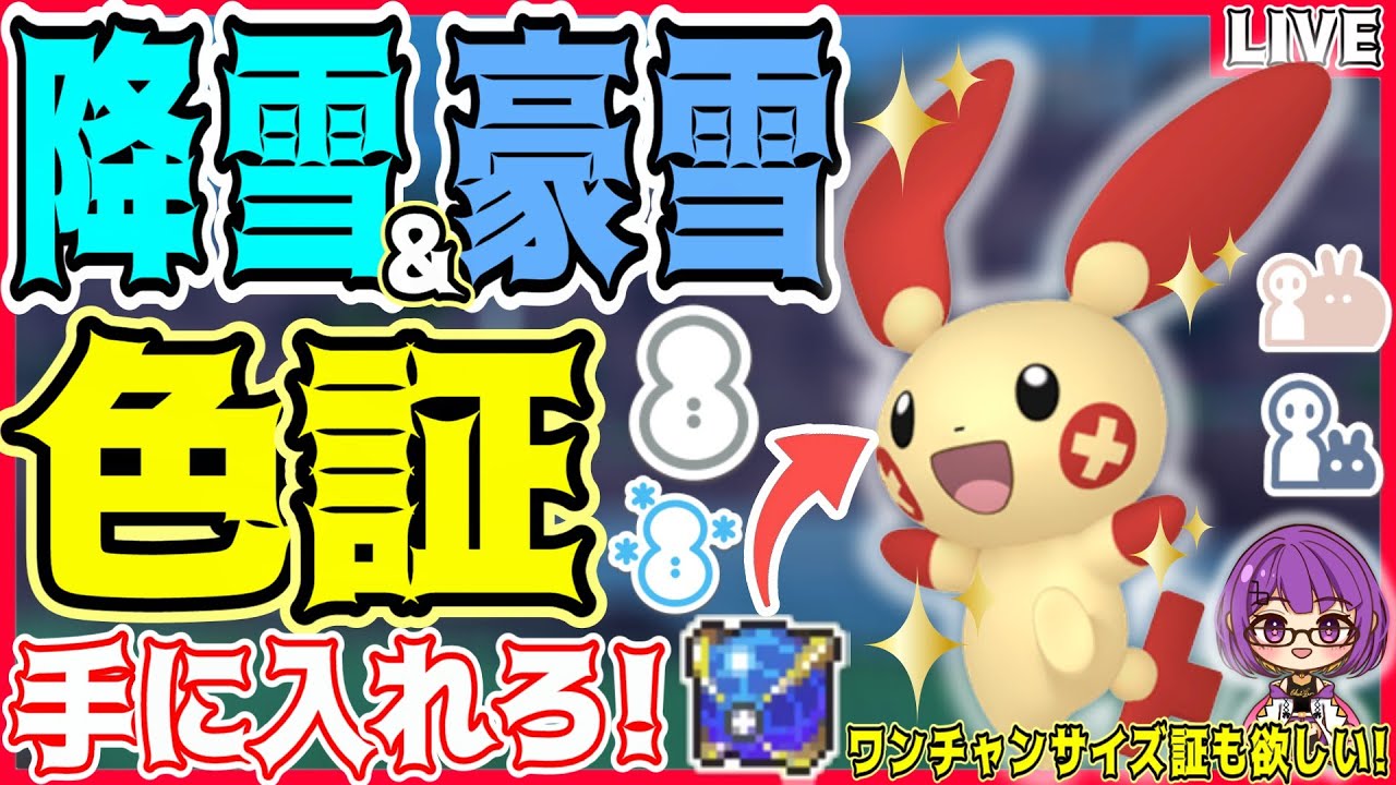 【ポケモンSV】初見さん大歓迎✨緊急ミッション!!降雪＆豪雪の色証"プラスル"を探せ‼️【色プラスル/ウルボ/#色違い厳選 】