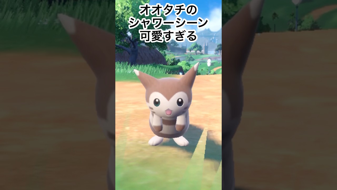 オオタチのシャワーシーン！どんな姿も可愛いね！ #もっちゅんです #オオタチ #ポケモンsv
