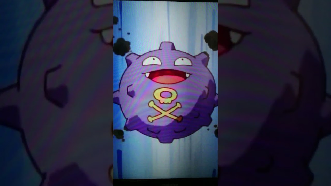 [アニポケ]　ドガース＆アーボ初登場シーン!!