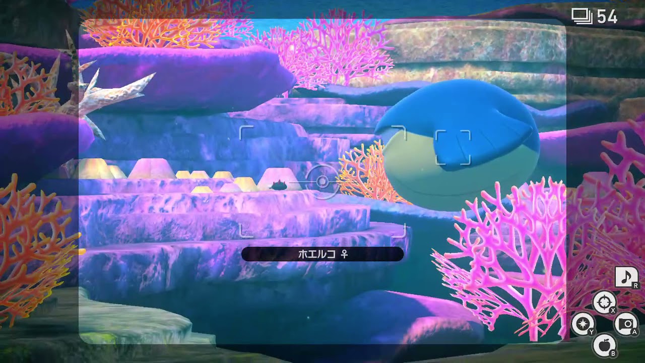 ホエルコさん！？