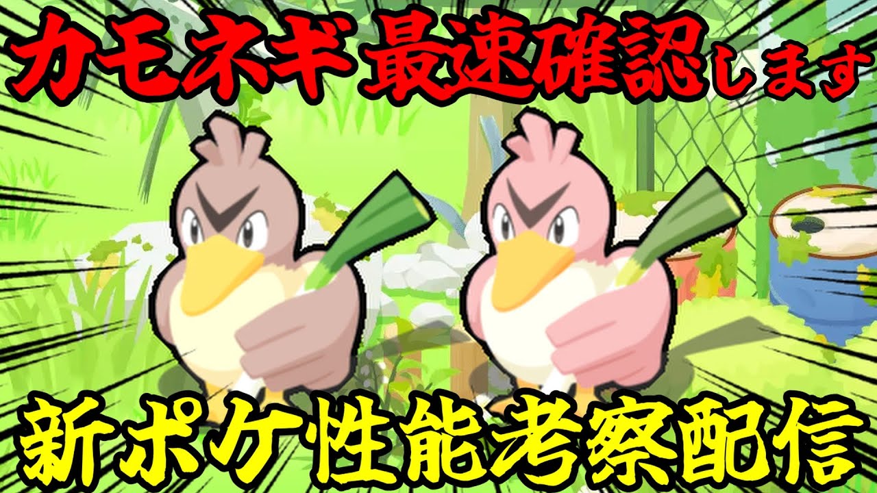 カモネギAネギ祈願会場 14:40～