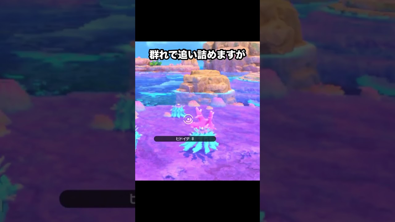 ヒドイデに食われるサニーゴ？！　#ポケモン #newポケモンスナップ