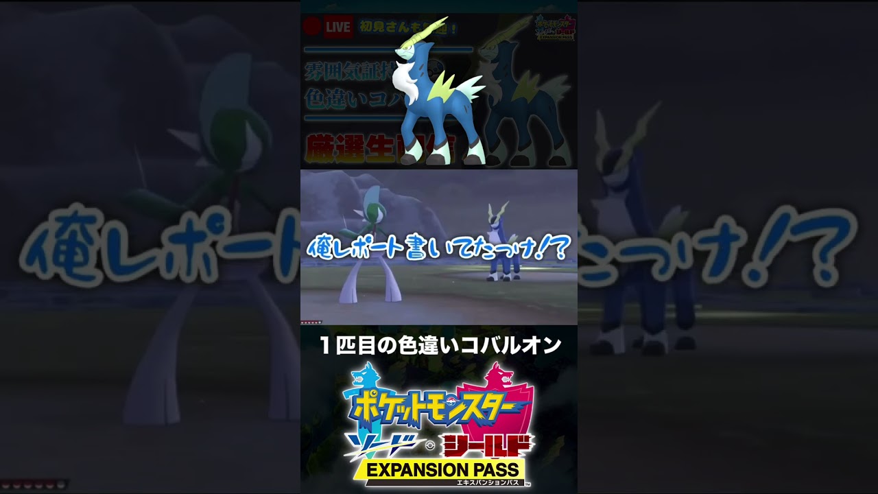 1匹目の色違いコバルオンと邂逅した男【ポケモン剣盾】