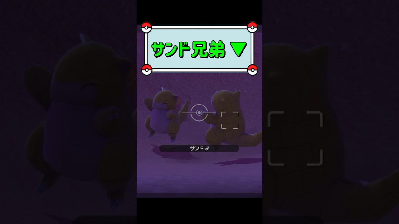 「サンド兄弟 ▼」　#ポケモンスナップ　#ポケモン　#shorts