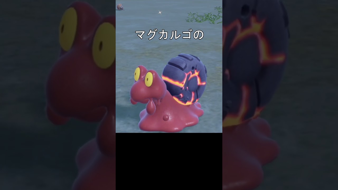 ポケモンの温度、体温　カエンジシ　マグカルゴ　#ポケモン #ポケモンsv