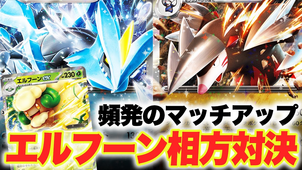 【ポケカ対戦】エルフーンの相方対決キュレムvsドリュウズ【コンソメ/キクチシュウマ】【ポケモンカード】