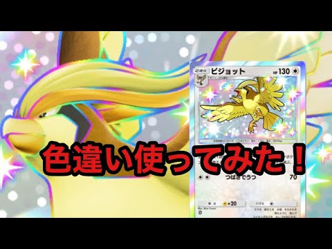 【ポケポケ】色違いピジョットを使ってみた！