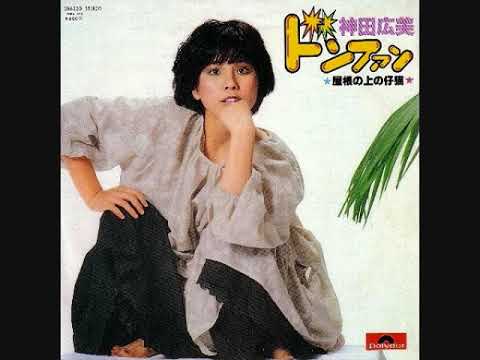 神田広美　ドンファン