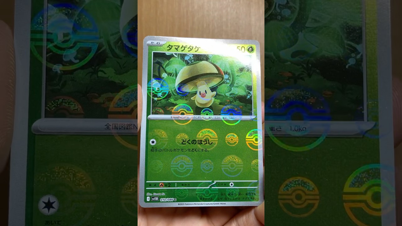 タマゲタケのカードを紹介 #ポケカ #ブラックボルト