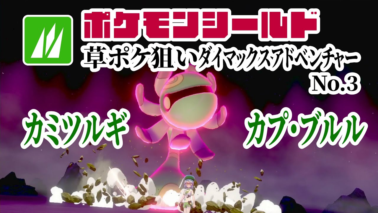 カミツルギ/カプ・ブルル探しダイアド No.3 2025/7/12 ポケモンシールド(剣盾)