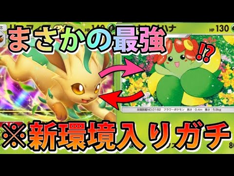 【緊急】まさかの環境入り!!"リーフィア＆キレイハナ"このポケモンたちが活躍!!【カード紹介】