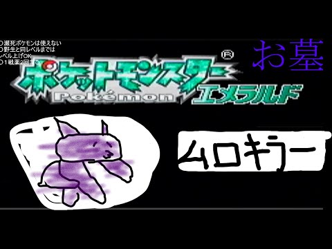 ポケモン　エメラルド　人生縛り3日目 バッジ5つ目～