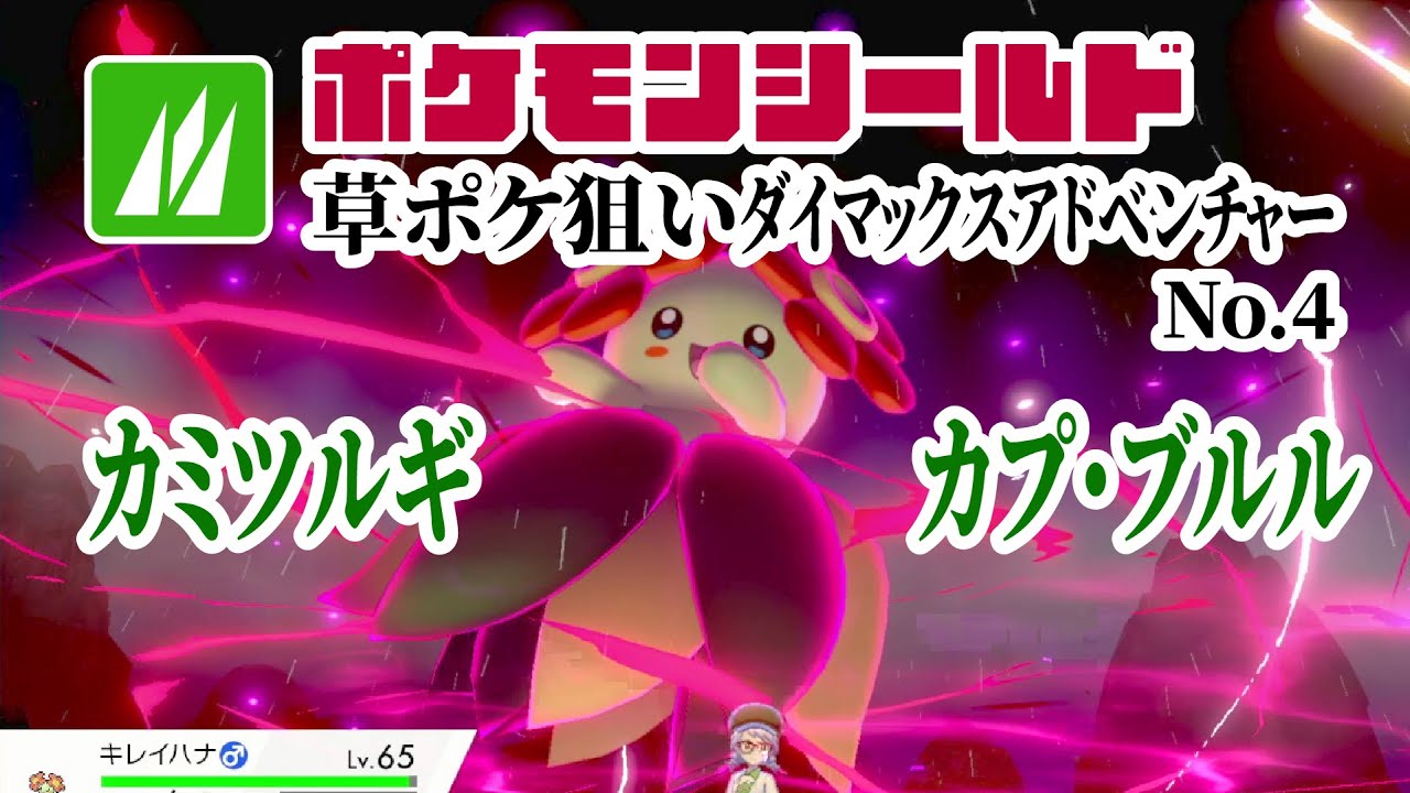 カミツルギ/カプ・ブルル探しダイアド No.4 2025/7/13 ポケモンシールド(剣盾)
