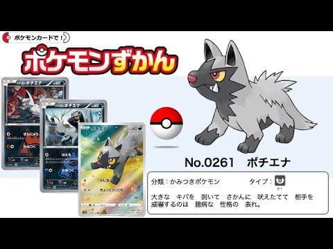 【ポケカずかん】No.0261 ポチエナのポケモンカード大全集