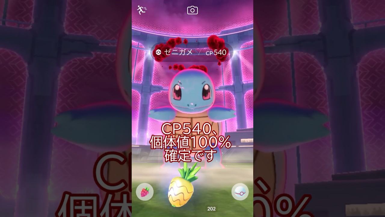 個体値100％😲‼️ダイマックスゼニガメに遭遇🐢#ポケモンgo #pokemongo #pokemongoshorts