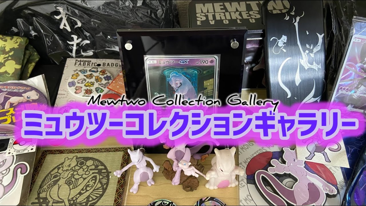 【ポケカ】ミュウツーコレクション紹介【定期配信】＃ロスワ勢