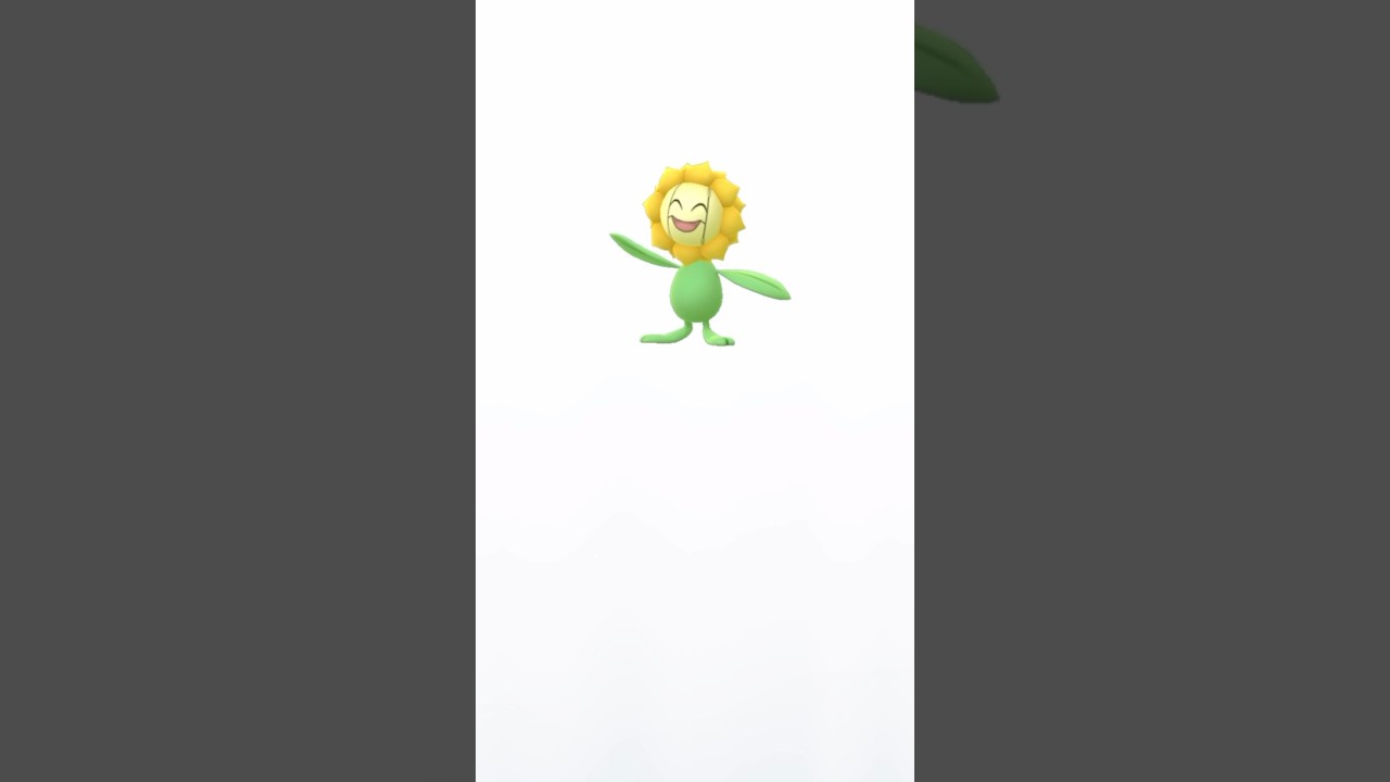 【 ポケモンgo 】 ヒマナッツ → キマワリ ！今日7/14は #ひまわりの日 らしいので！【 うさぴよの巣 】#pokemongo #キマワリ